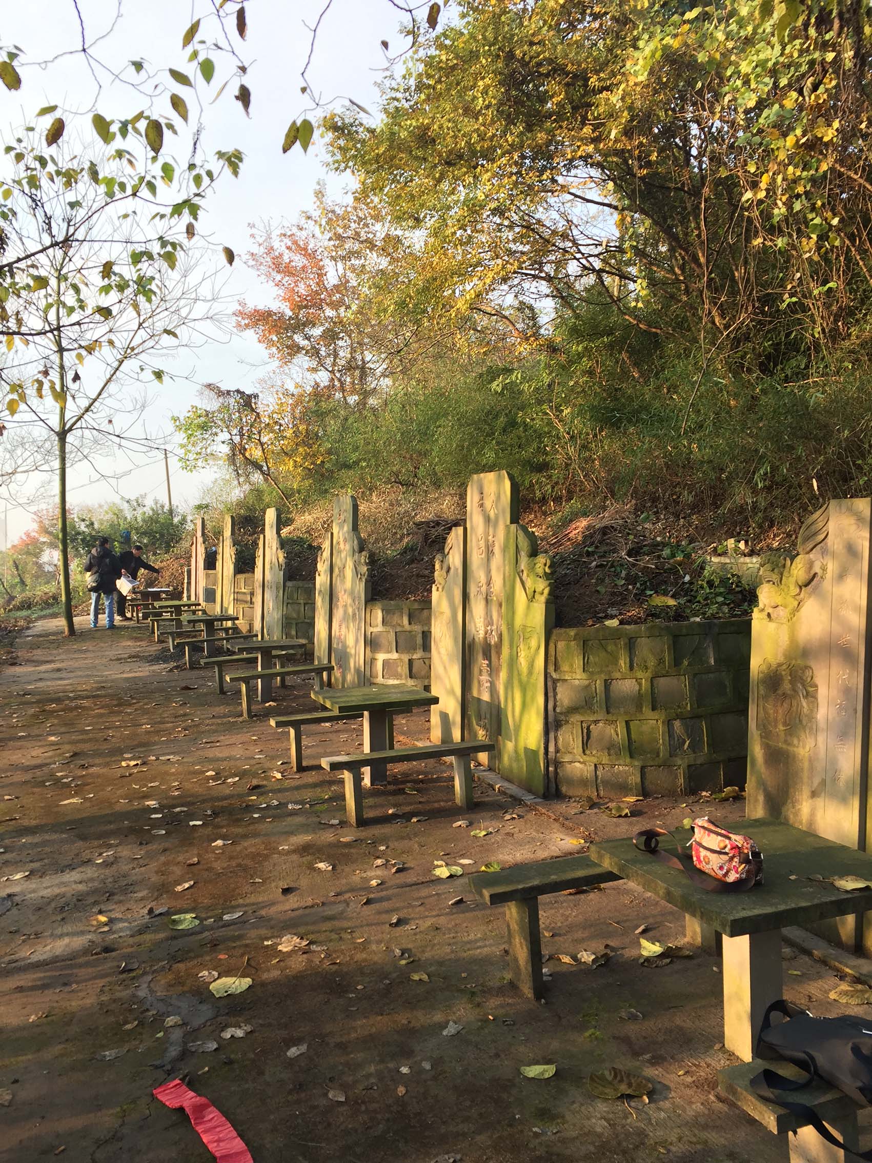 Espacio destinado a la sepultura de mis familiares lejanos