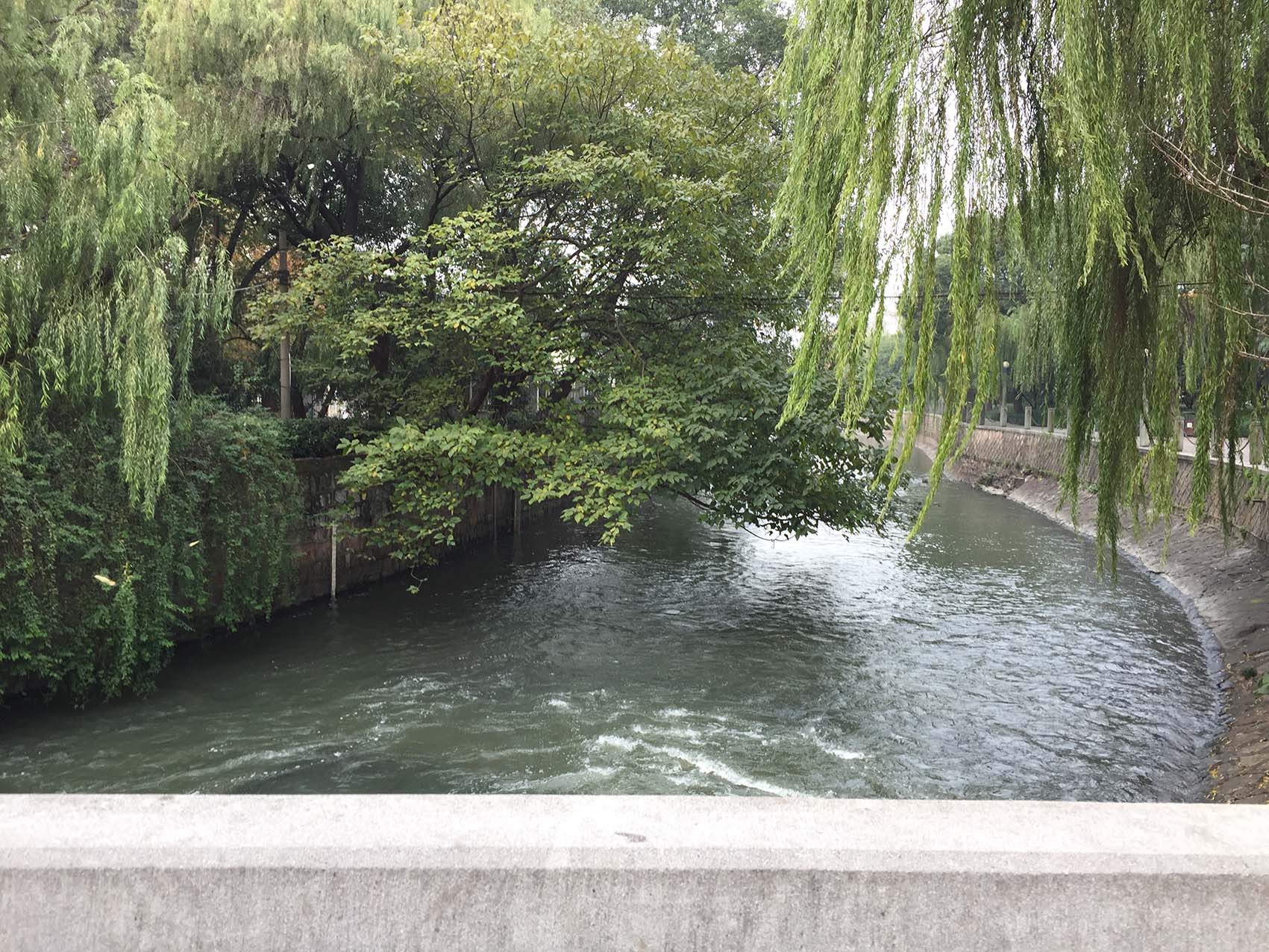 Hángzhōu es una ciudad verde