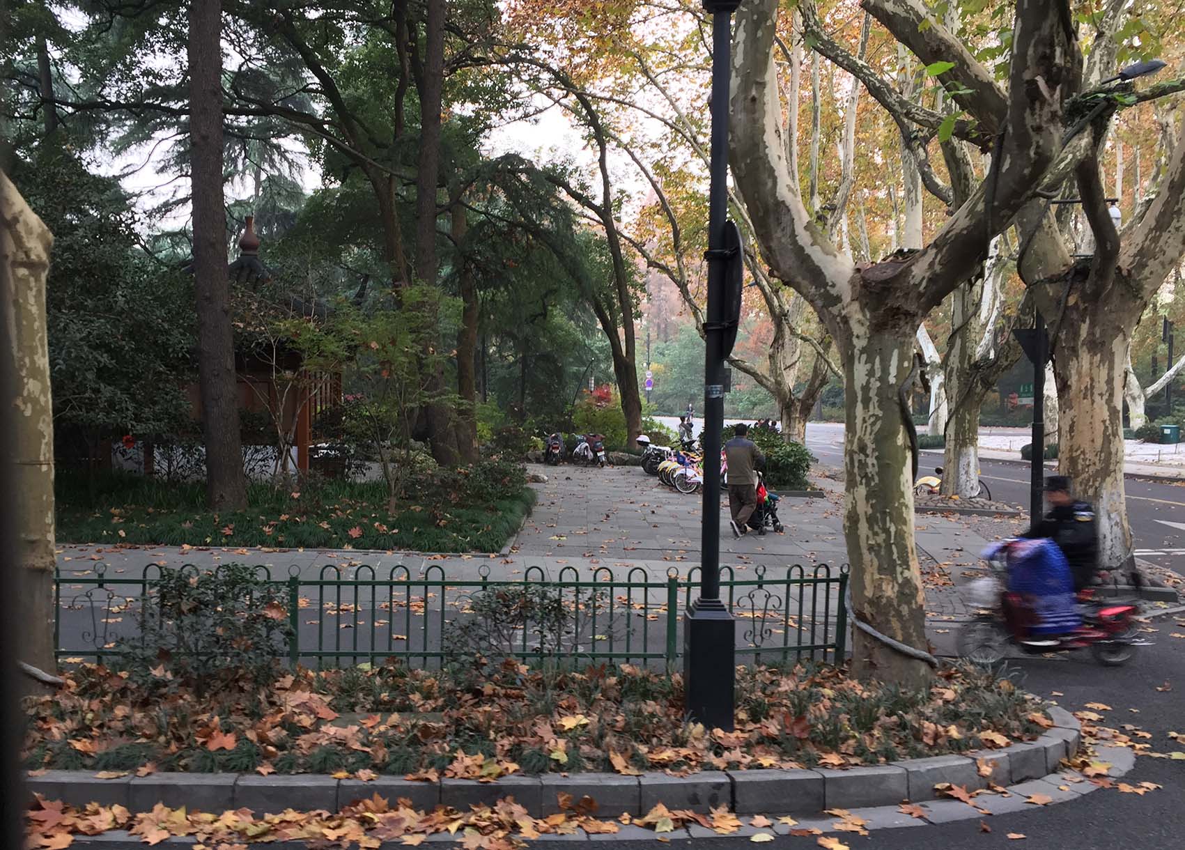 Vista desde el colectivo de la línea 7