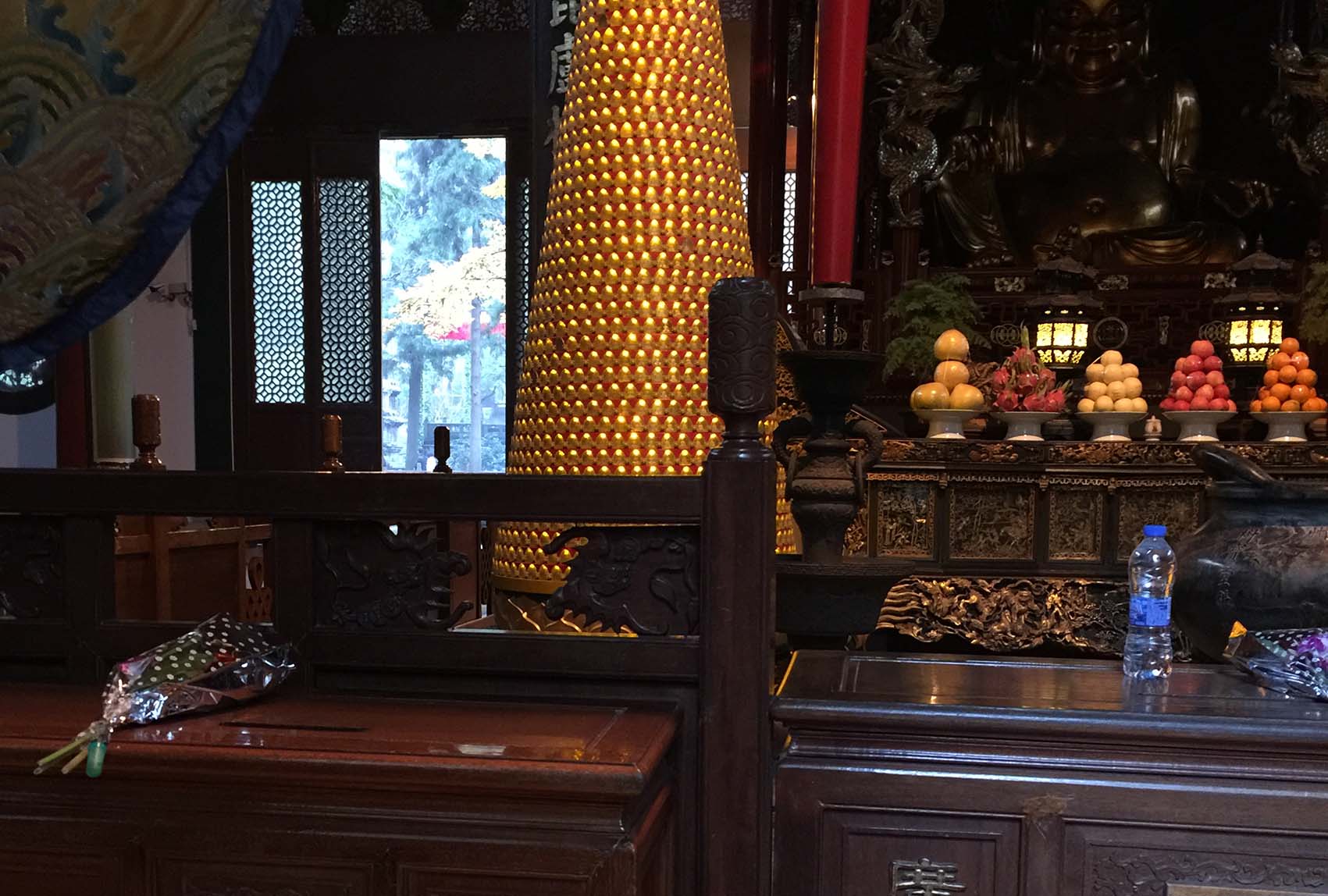 Una de las tantas fotos fallidas