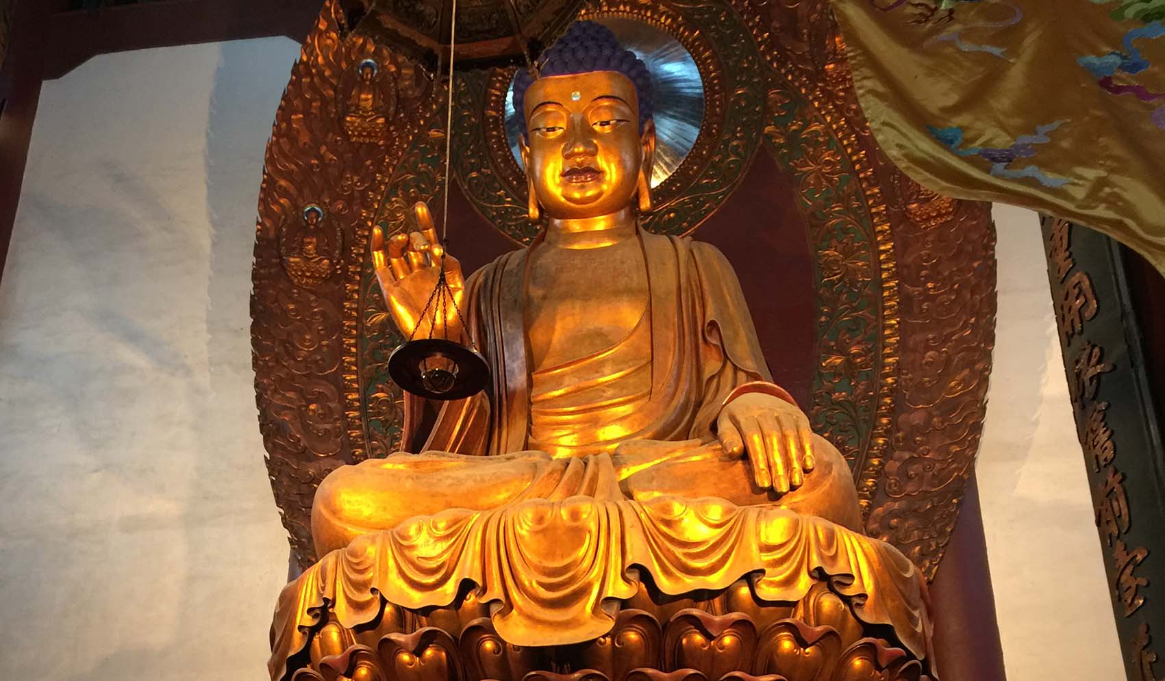 Al final me decidí a sacar con respeto una foto